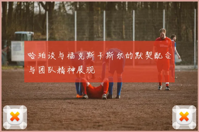 哈珀谈与福克斯卡斯尔的默契配合与团队精神展现